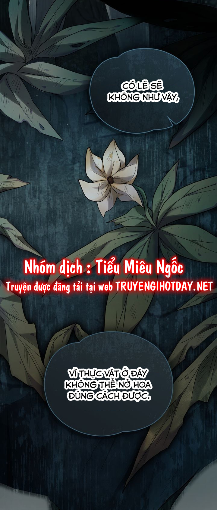 yêu cô công chúa sắp chết chapter 27 17