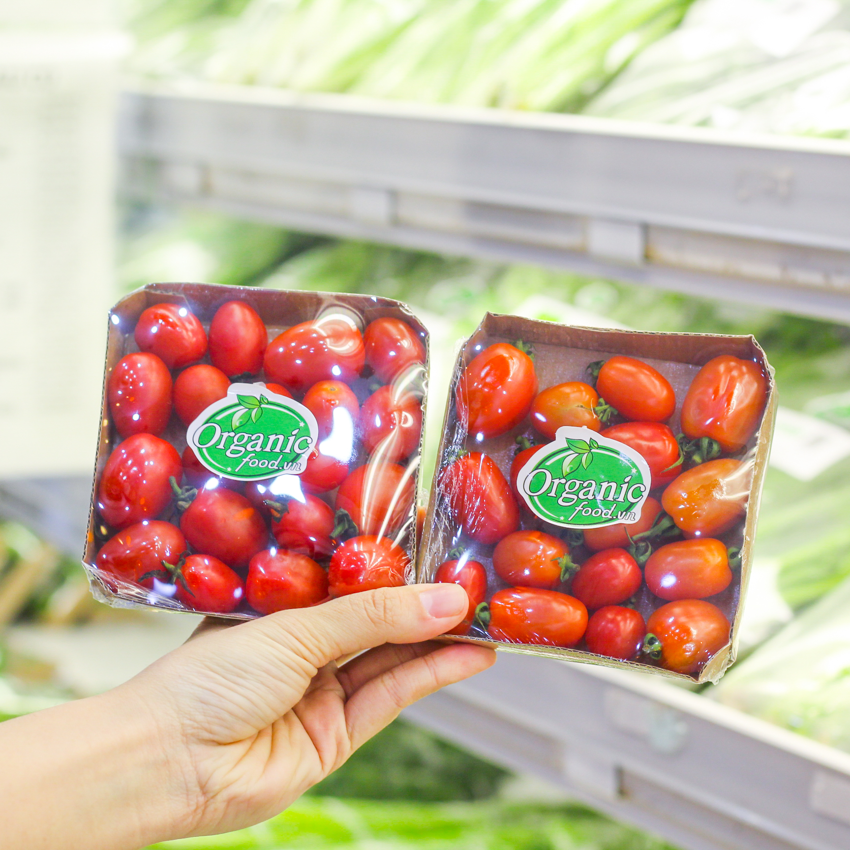 - Cà Chua bee ngọt hữu cơ Organicfood - 300g