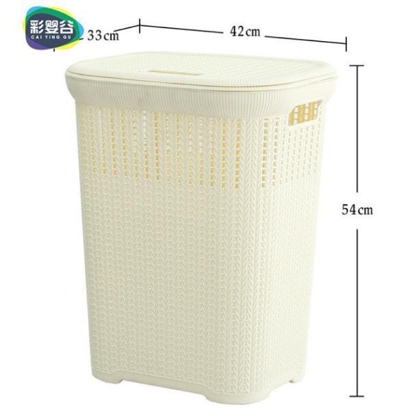 Hình ảnh Sọt nhựa đựng quần áo có nắp kiểu Hàn Quốc size L1234