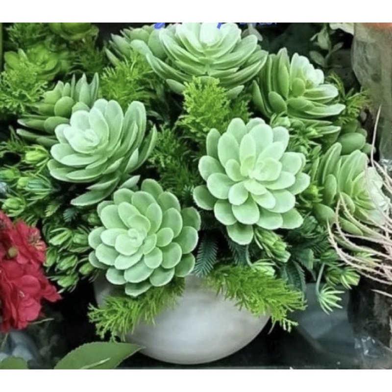 Cụm hoa sen đá giả, sen đá nhựa cắm điểm decor siêu đẹp