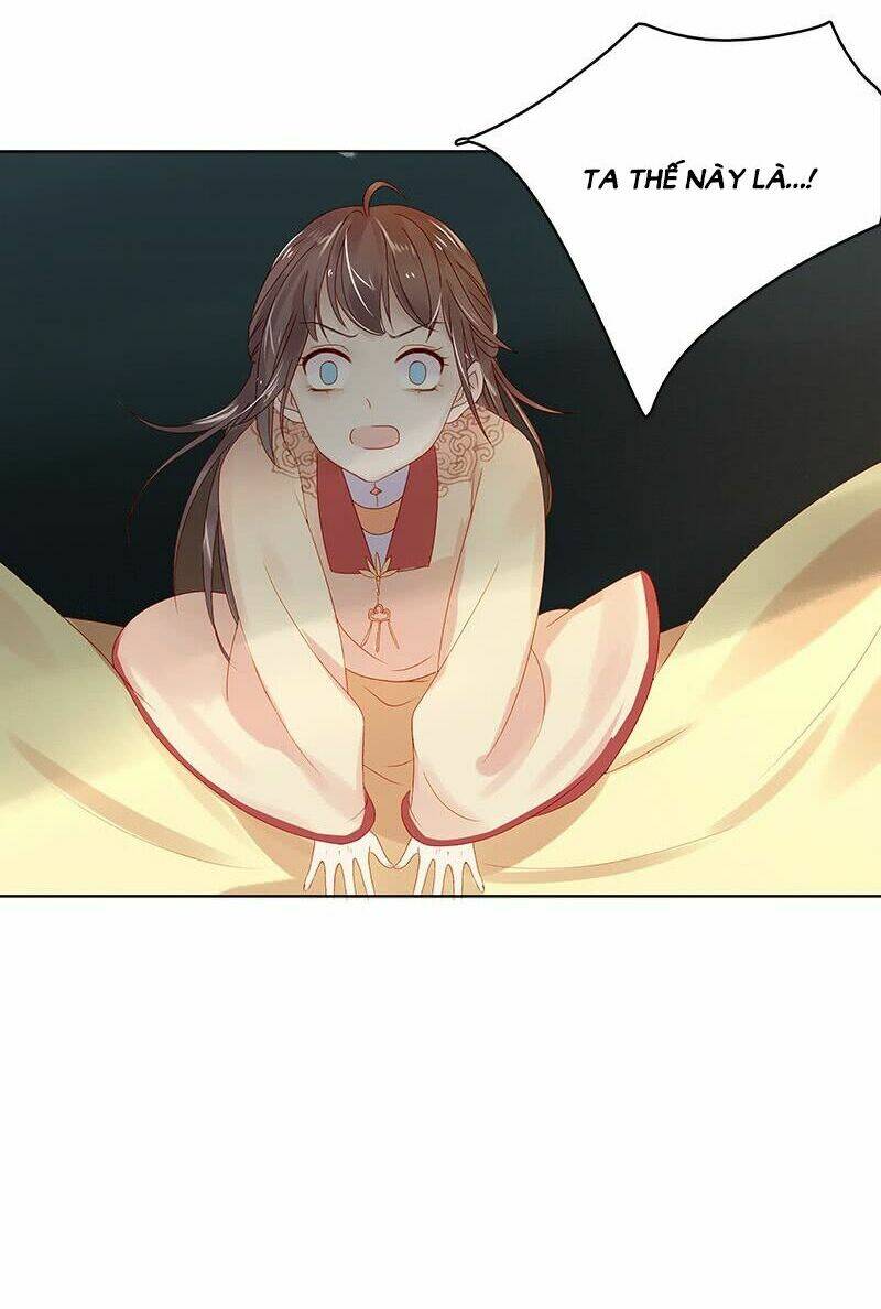 xuân khuê bí lục: xưởng công thái liêu nhân chapter 30 14