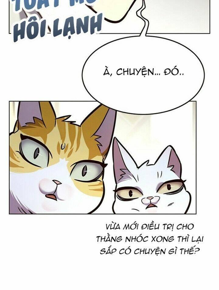 biến thân thành mèo chapter 200 62