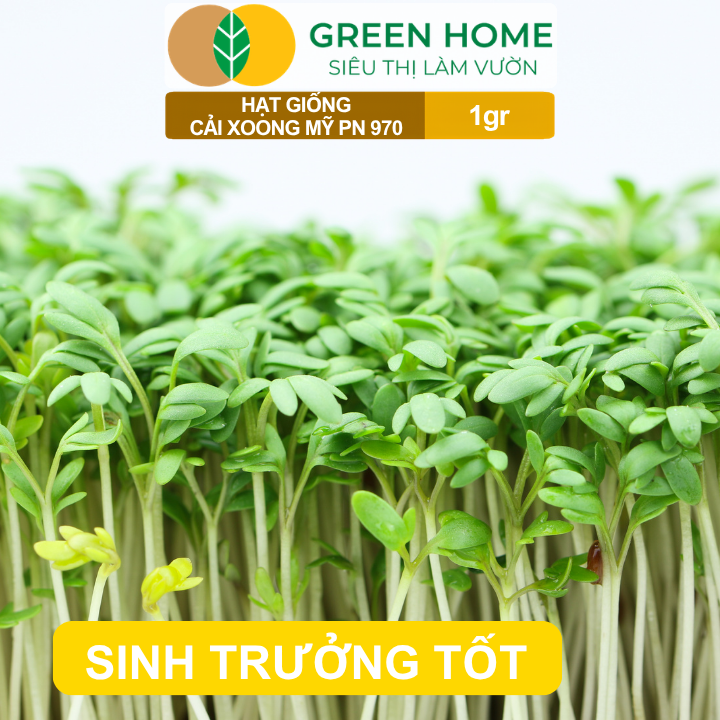 Hạt Giống Rau Xà Lách Xoong GreenHome, Gói 1gr, Dễ Trồng, Nảy Mầm Cao, Thu Hoạch Nhanh R01