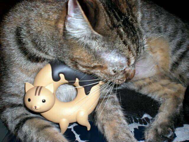 donyatsu chapter 12 16