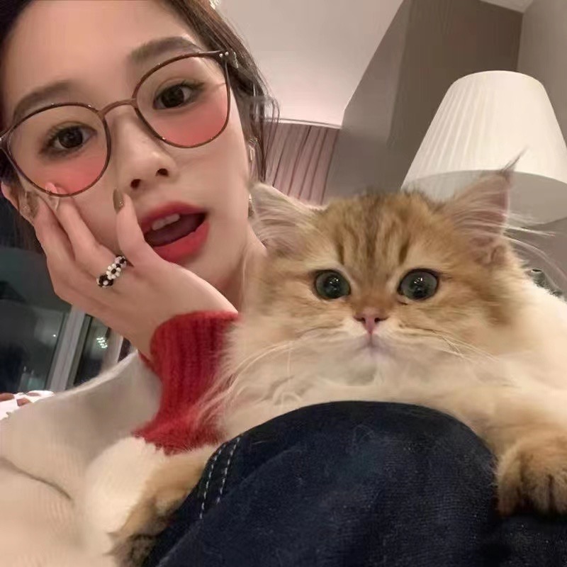 Kính gọng tròn má hồng nhiều màu