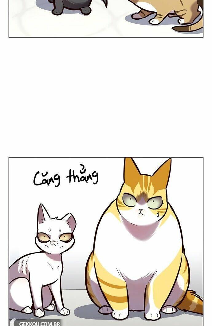 biến thân thành mèo chapter 188 27