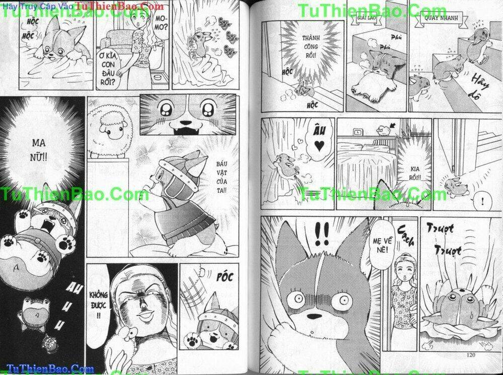 chó con mo mo chapter 4 61