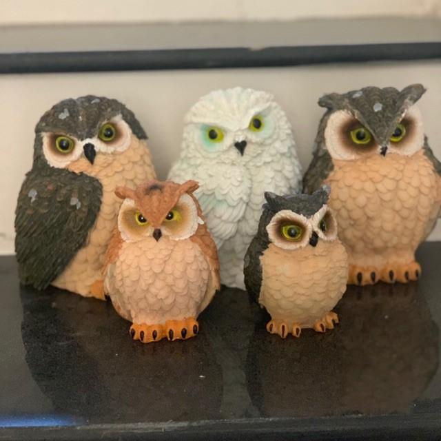 Tượng chim cú mèo nhiều mẫu Owl Figurines