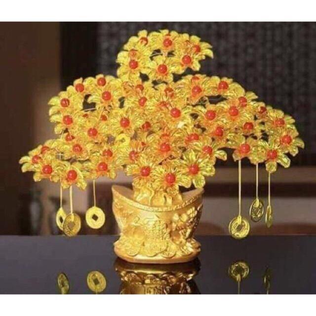 Gốc bonsai đế đúc nguyên liệu cây tài lộc cành vàng lá ngọc phk shop