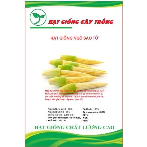 Hạt giống ngô bao tử Thái Lan CT221 - Gói 30 hạt