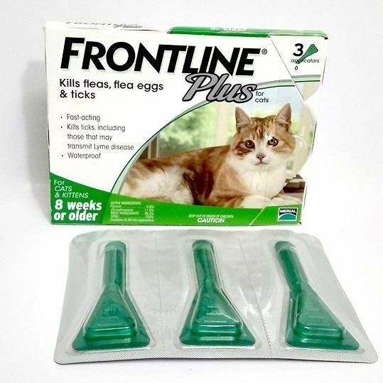 Nhỏ gáy Frontline Plus ngừa ve, rận tác dụng nhanh dành cho Mèo và Mèo con trên 8 tuần tuổi