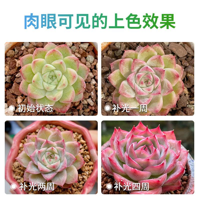 Giá thấp nhất mọng nước đèn lấp đầy ánh sáng nhà màu sắc ánh sáng mặt trời nhân tạo giả mặt trời đầy đủ led tăng trưởng thực vật đèn