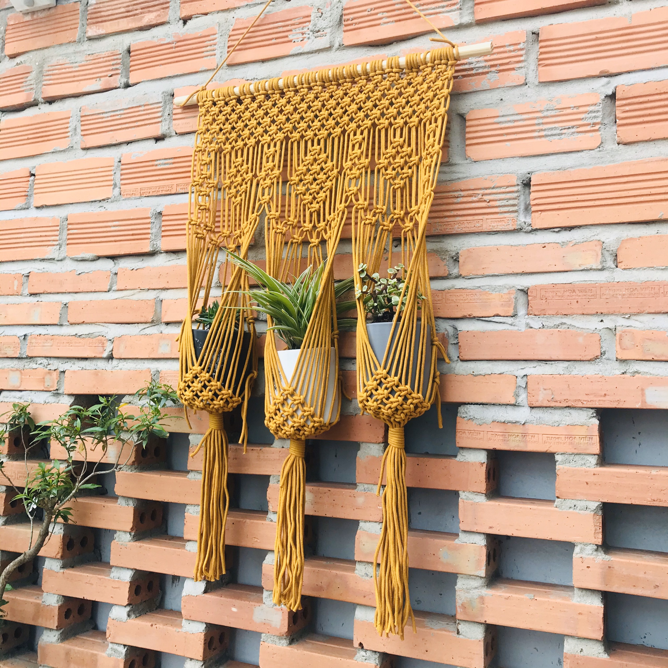 Dây treo chậu cây Macrame - 3 chậu