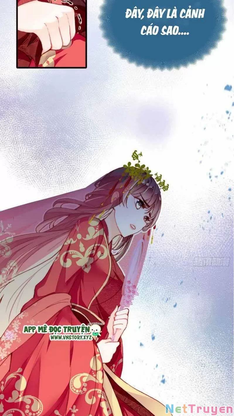 lại bị bệnh chiều chuộng quấn lấy chapter 1 48