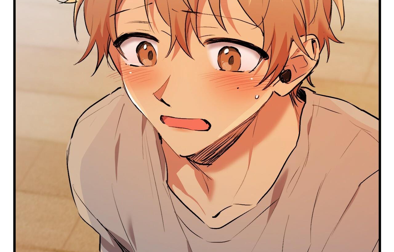 đàn thỏ của habibi chapter 33 104