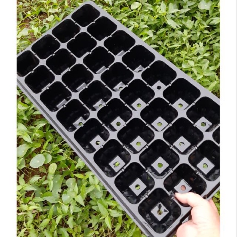 Khay ươm hạt giống 50 lỗ loại dày
