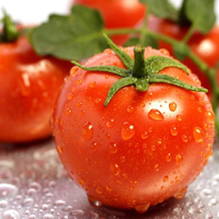 Hạt giống Cà chua Pháp 3