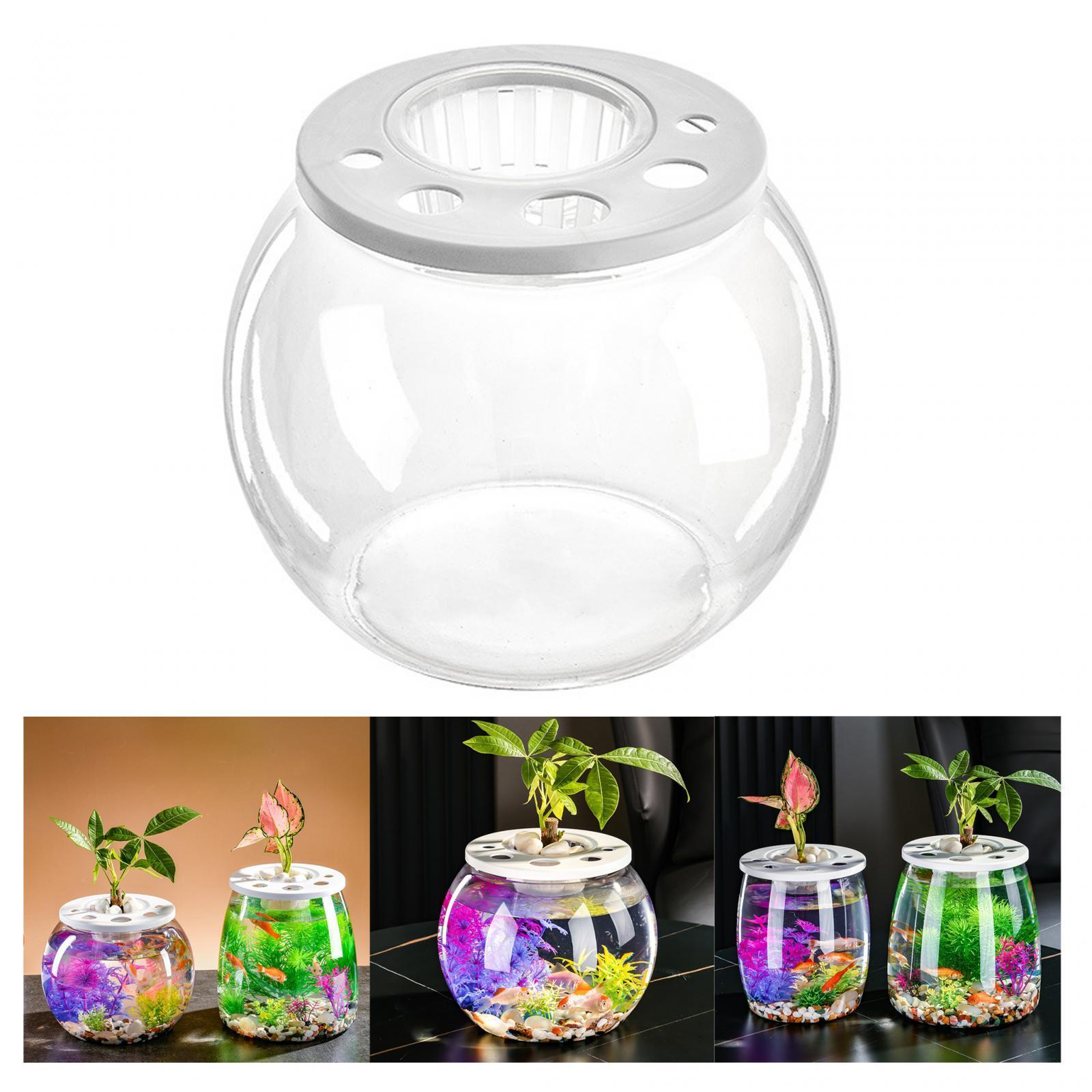 Fish Bowl Decorative Table Centerpiece Fish Tank for Hotel Dorm Living Room