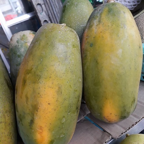 HẠT GIỐNG ĐU ĐỦ RUỘT VÀNG