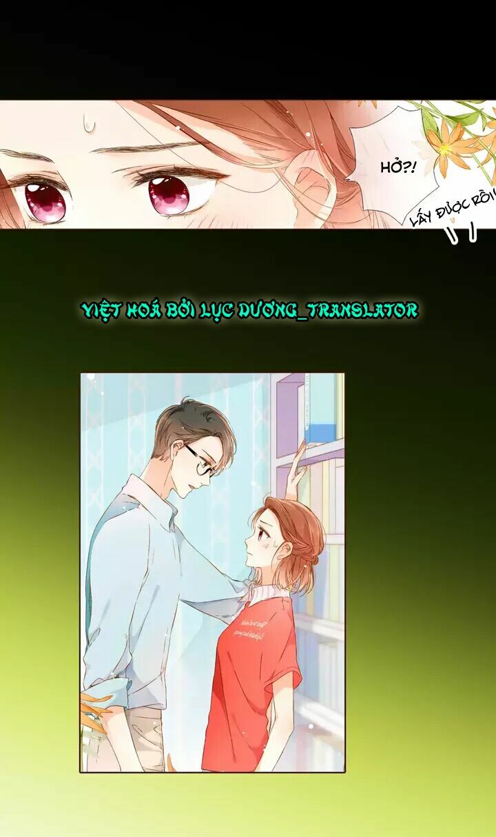 Tình yêu là màu hoa anh thảo chapter 30.1 33