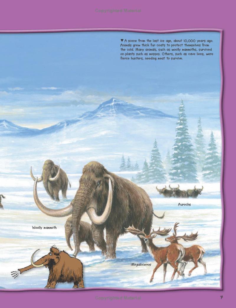 Sách ngoại văn: Wild About Dinosaurs