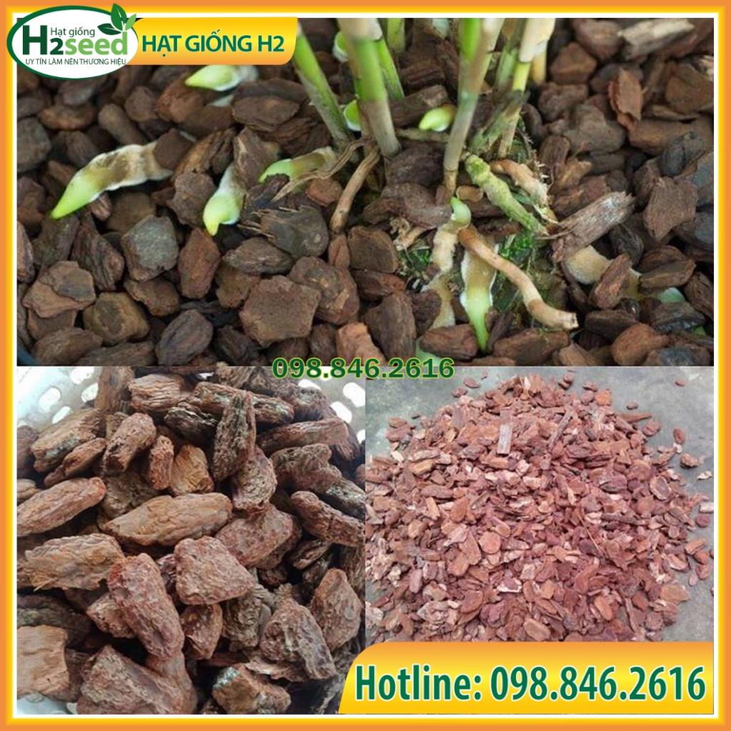 Gói 1kg Vỏ thông mài cạnh đều đẹp nhiều kích cỡ dùng trồng hoa lan - Hạt giống H2 Seeds