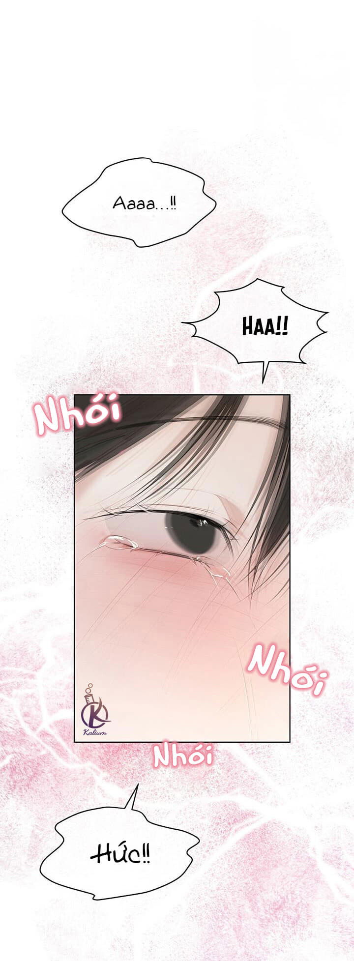 hình thái khởi sinh chapter 29 25