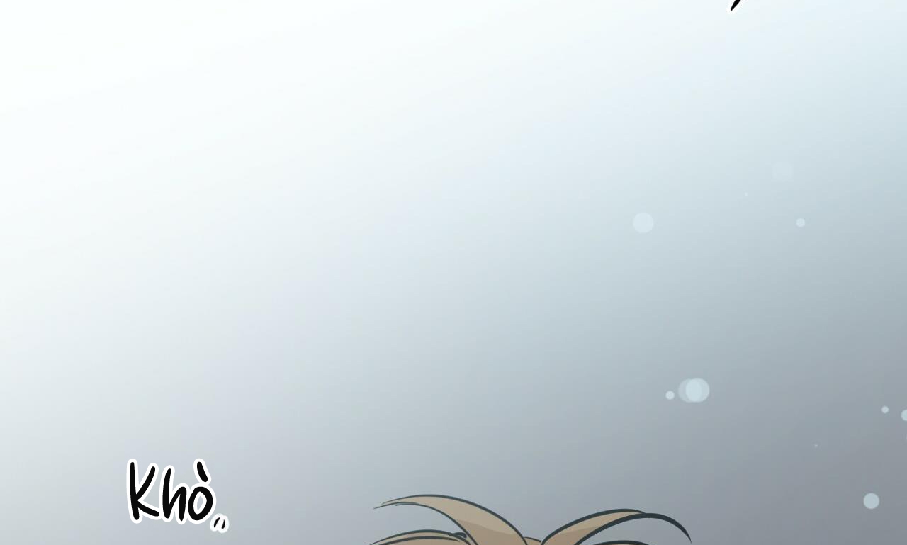 những chú thỏ của hapypy chapter 52 215