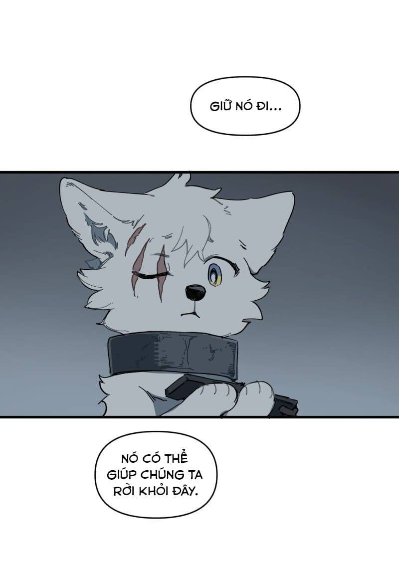 lumine - cội nguồn ánh sáng chapter 146 33