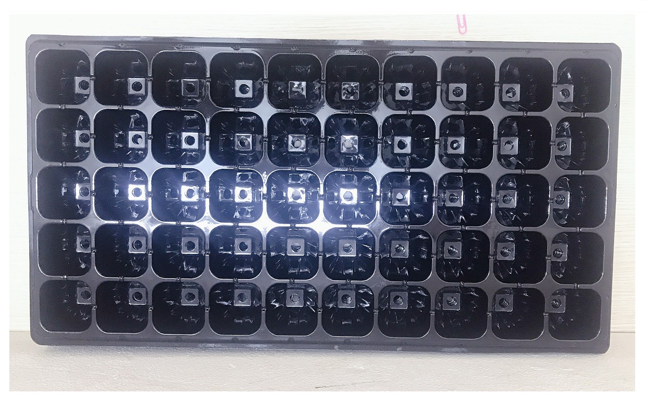 50 Khay Nhựa PVC 50 Lỗ Ươm Cây Tiện Lợi, Dễ Sử Dụng, Tích Kiệm Diện Tích