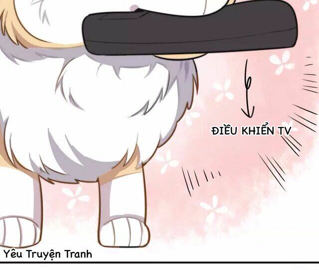 tình yêu trên cùng một dòng chapter 3.1 15