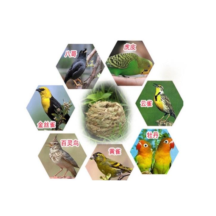 Tổ chim tự nhiên được làm bằng thủ công trang trí thêm đẹp
