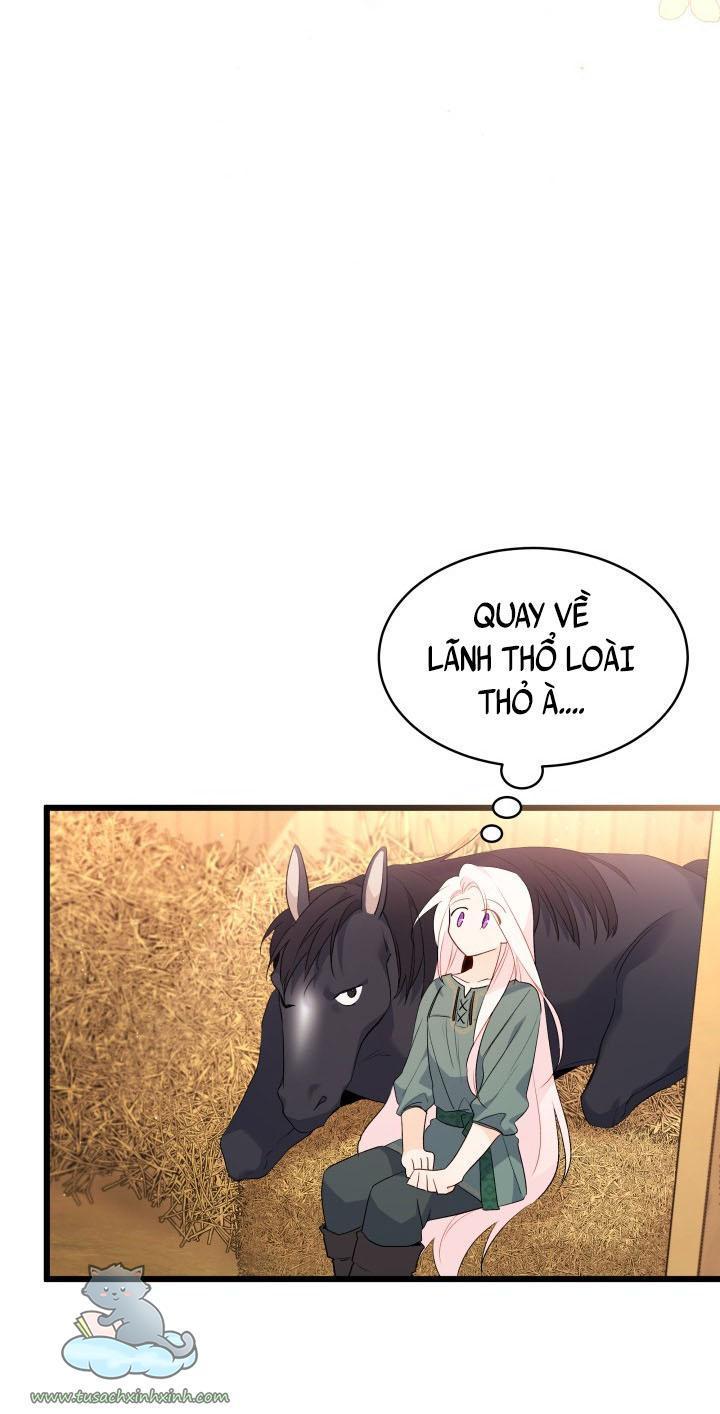 quan hệ cộng sinh giữa báo đen và thỏ trắng chapter 49 33