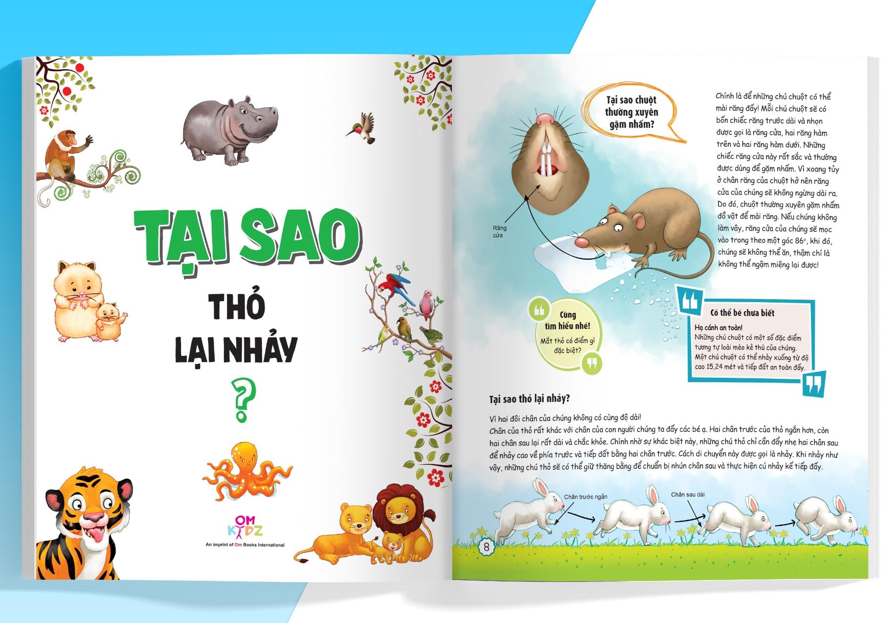 What Why When How? - 10 Vạn Câu Hỏi Cho Siêu Nhí - Why: Tại Sao?