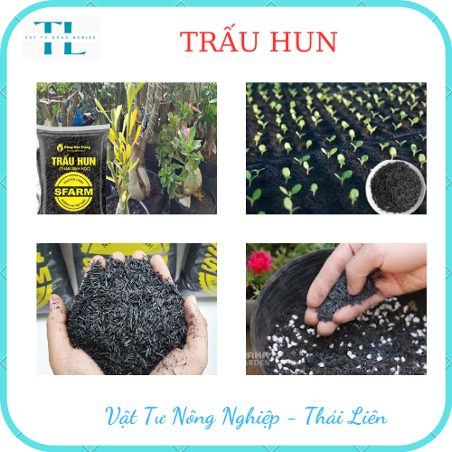 Trấu Hun Sfarm Đặng Gia Trang - Nhẹ, Sạch, Tơi Xốp, Giữ Ẩm Tốt - Key: Hạt Giống, Đất sạch, Phân Bón, Hữu Cơ, Xơ Dừa