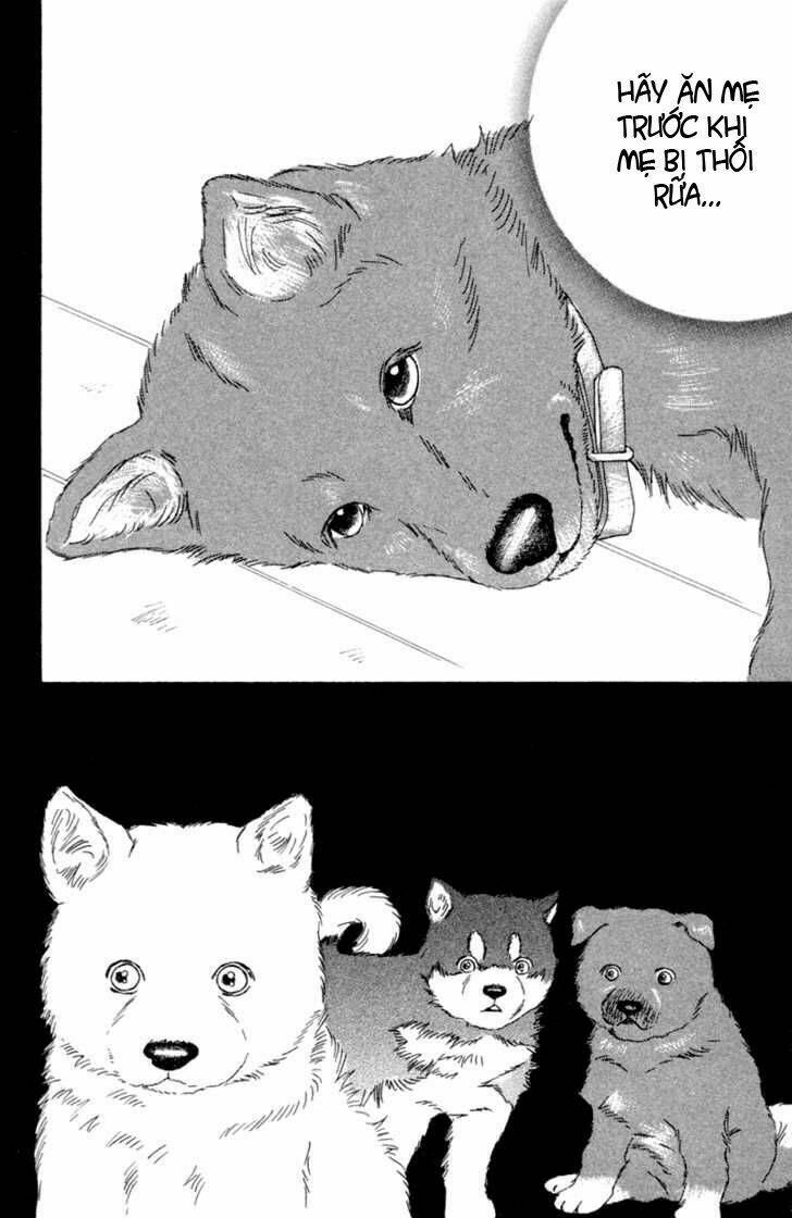 deep love - pao no monogatari chapter 1 21