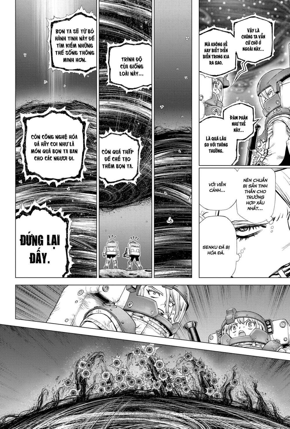 dr.stone - hồi sinh thế giới chapter 231 7