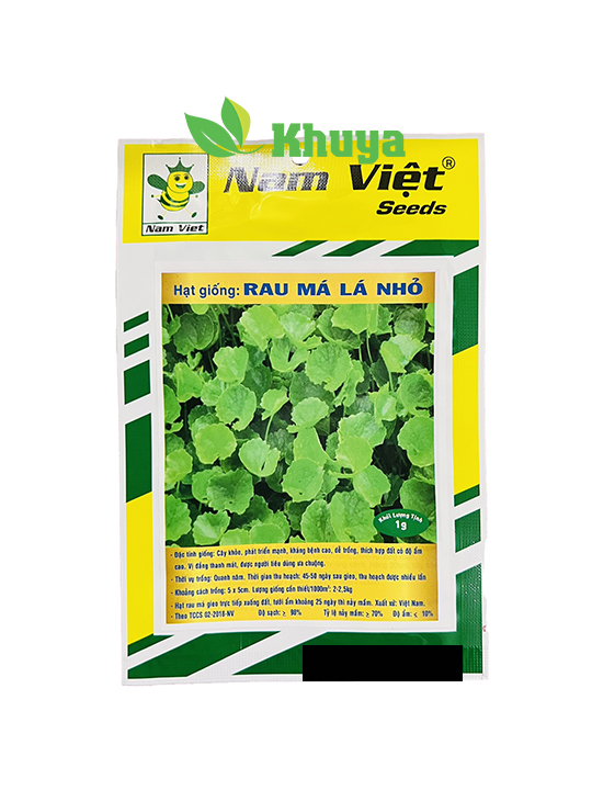 Hạt giống Rau Má Nam Việt