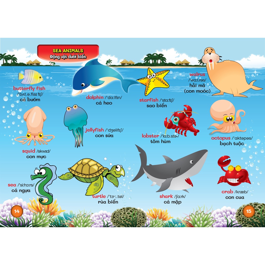 Từ Điển Bằng Hình Đầu Tiên Của Bé - Bách Khoa Tri Thức