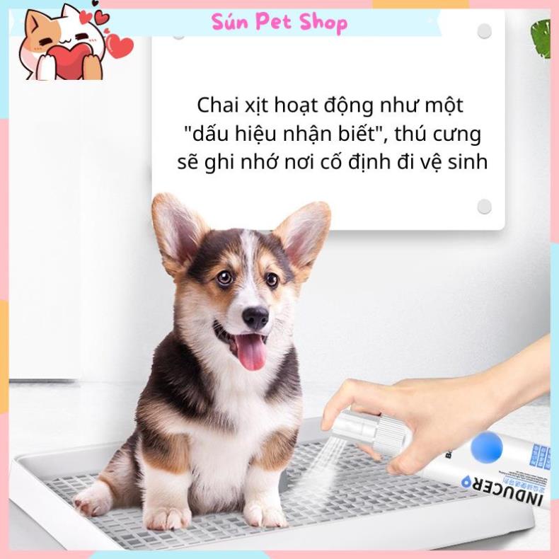 Chai xịt định vị nơi đi vệ sinh cho chó mèo