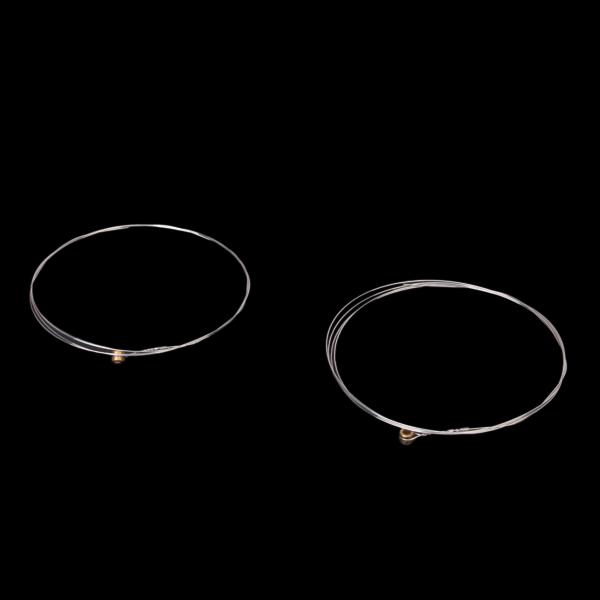 A Set Of 6 Strings For Acoustic Guitar