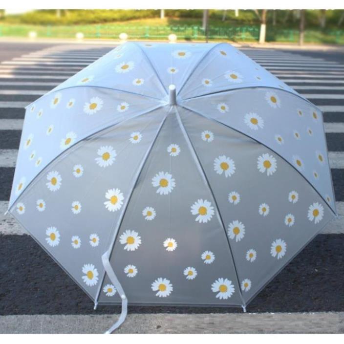 Ô trong suốt HOA CÚC chụp ảnh Hàn Quốc cực xinh, ô đi mưa họa tiết hoa cúc tuyệt đẹp