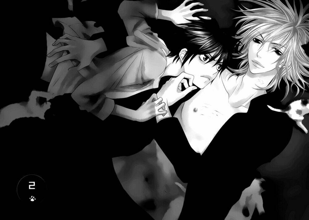 nekoka danshi no shitsukekata chapter 2 6