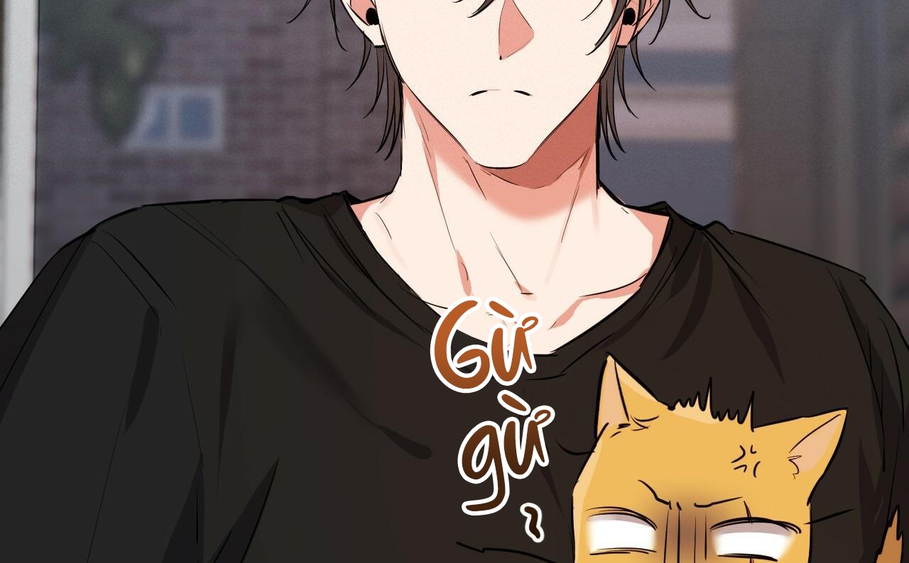 những chú thỏ của hapypy chapter 52 195