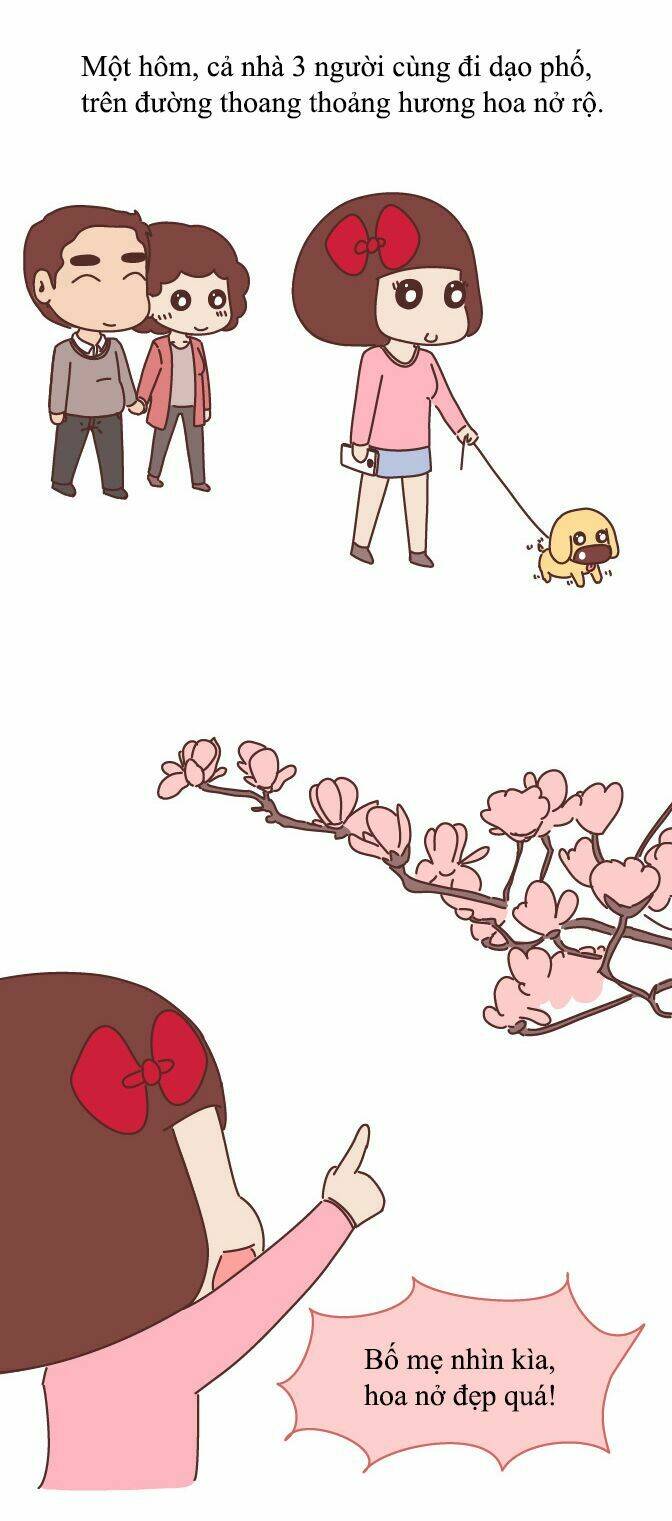 giải mã tình yêu chapter 244 7