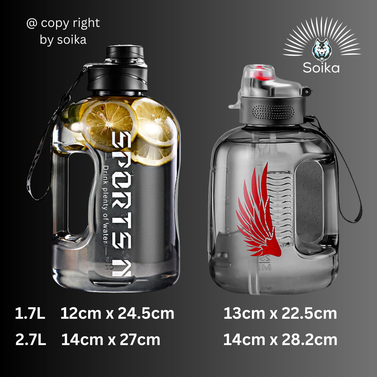 Bình Nước Tập Gym SOIKA 1.7 Lít Và 2.7 Lít SW12