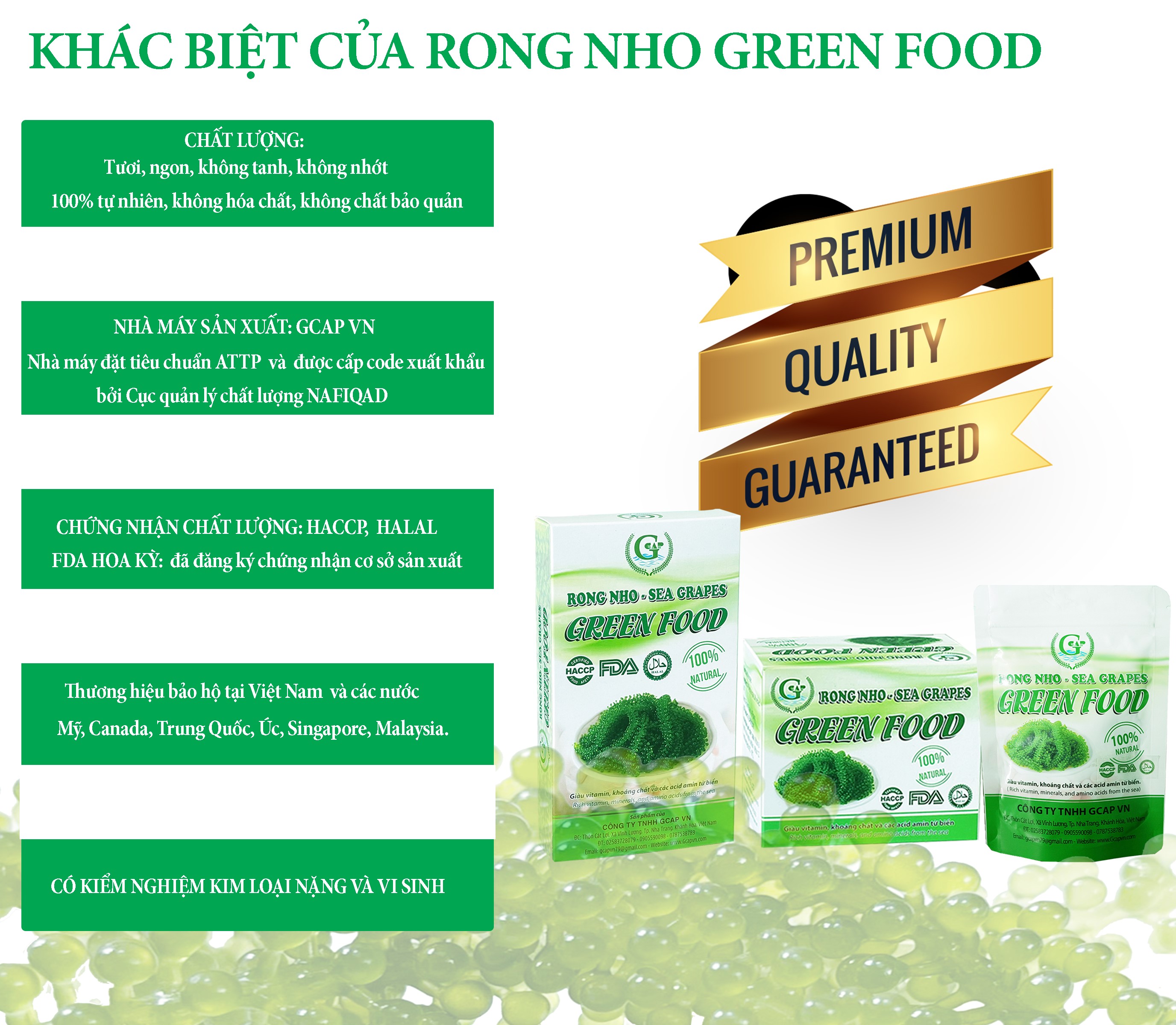 COMBO 5 túi zipper RONG NHO GREEN FOOD + tặng kèm 5 túi xốt 15ml