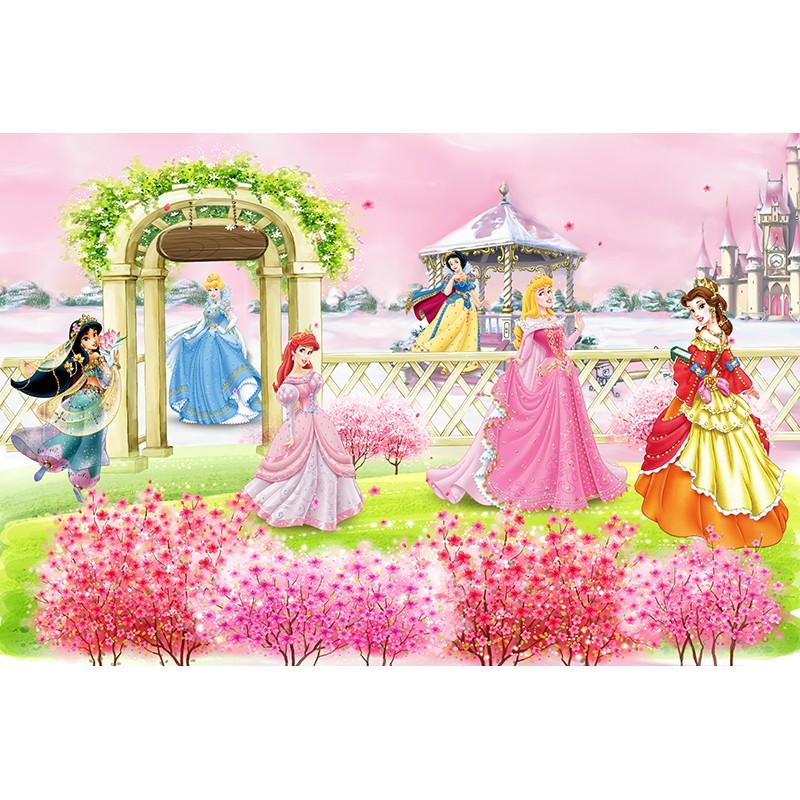 Tranh công chúa HD Disney trang trí phòng bé gái H20171206143327506-tc6 tự chọn mẫu 80 x 50 cm kim sa