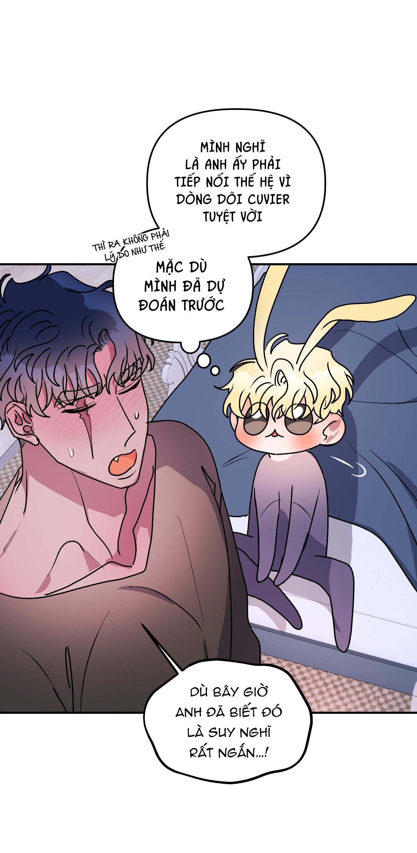 cá mập và cô dâu thỏ chapter 52 24