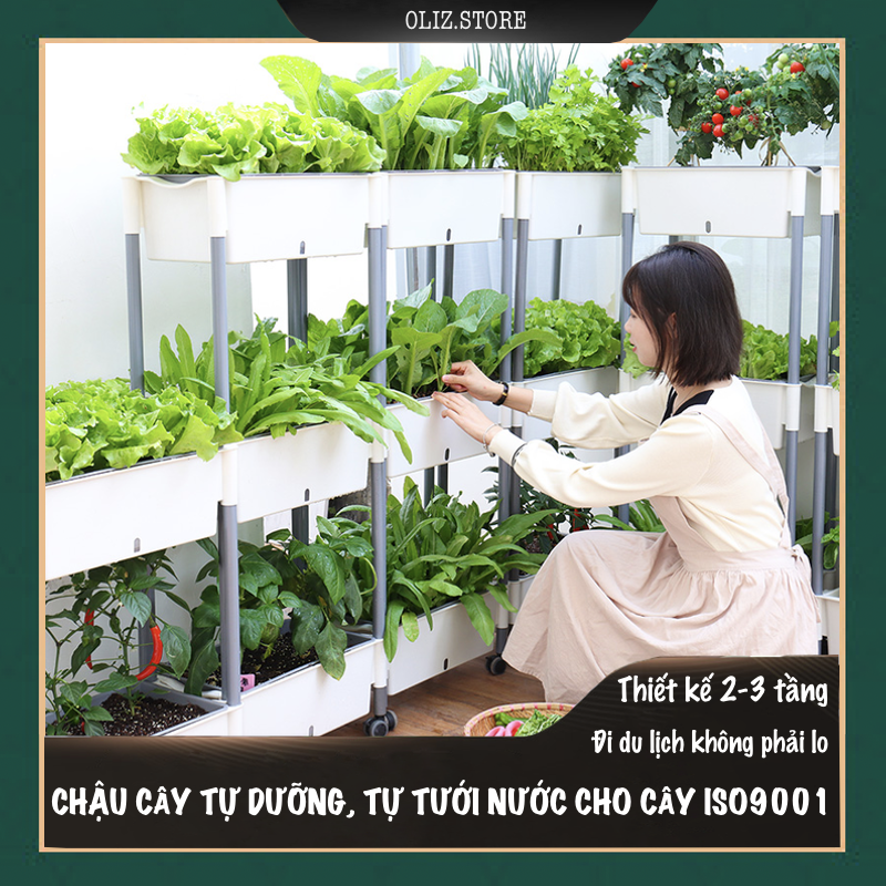 Chậu trồng rau Oliz D202. Chậu trồng rau thông minh tự dưỡng, có bánh xe di chuyển, phù hợp nhiều không gian